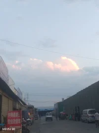 放下焦虑，接受每一个阶段的自己。人生是用来体验的，不是用来演绎完美的，慢慢接受自己的迟钝和平庸，允许自己放错，允许自己偶尔断电，带着缺憾拼命绽放，与自己和解。配图