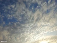 放下焦虑，接受每一个阶段的自己。人生是用来体验的，不是用来演绎完美的，慢慢接受自己的迟钝和平庸，允许自己放错，允许自己偶尔断电，带着缺憾拼命绽放，与自己和解。配图