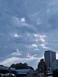 人生有七然：
来是偶然，去是必然，
尽其当然，得之坦然，
 失之淡然，争取安然，顺其自然。配图