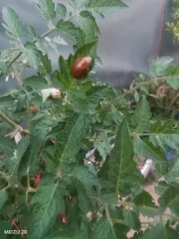 角度各异，皆是风景，  
莫用他人的尺丈量自己，  
莫用自己的秤称量他人，  
懂得收敛锋芒，  
一半是为了体谅世间，  
一半是为了周全本心。  

一念生，千山暮雪，踏月寻，  
一念灭，沧海孤舟，任潮平。
可有，可无，可去，可留，取舍之间便是人生。