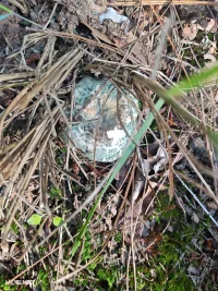 “與萬事言和，與獨處相安，自行，自醒，自清歡”，這個世界上，沒有好壞，沒有對錯，只是大家處在不同的頻率，允許自己做自己，允許別人做別人，讓花成花，讓樹成樹，則其善者而從之，其不善者而改之，你我活得皆會自然灑脫！配圖