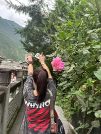迷什么都是迷，
不迷也是迷，
知道迷是不迷。配圖