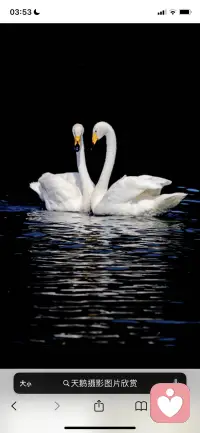 每一個讓我愛上的人，他身上的美好品質，他的口頭禪，他的習慣，他應該會怎么想這些，我都會一一了解。慢慢的，我開始不由自主的學習你的習慣，代替你來愛我，后來我變成了另一個你。配圖