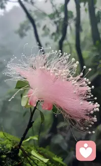 培養主體性三句口頭禪：我喜歡，我想要，我負責。常說這三句話，人的主體性就會自然而然地越來越清晰，越來越明確。配圖