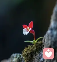 我們這些銹跡斑斑的大人，
真該把全身的水都擰出來，
放到三歲去過濾一次。配圖