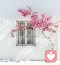 感受是灵魂的语言，你的灵魂是你的真相。配图