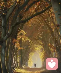 一个人能接受的事情越多，越是自由。每一种难以接受，都给自己竖起一道墙，墙竖的多了，不是迷宫，即是牢笼。配图