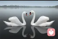 如果你独处时感到孤独，这说明你没有和你自己成为好朋友。配图