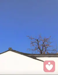 自由就是不再寻求认可，不再活在别人的期待中。配图