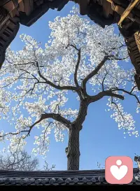 每個大人心里，都藏著一個小孩。每一個孩子心里，也都有一個大人。配圖