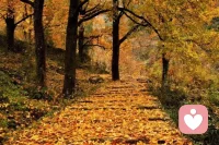 低谷期是人生的一部分，但它們不會永遠持續。

低谷期，可以多讀書，多學習，提升內在修養，外在技能。每一個低谷期，都是成長的契機。

我們要積極尋找走出低谷的方法，重拾信心和動力。在遇到困難的時候，給自己一個重新開始的機會。配圖