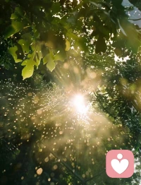 好的亲密关系，不是没有问题，而是能一起解决问题。亲密关系中的权利斗争，本质是对安全感的不同追逐。亲密关系不是找一个完美的人，而是学会与一个不完美的人共同成长。即便对方永远无法改变，请你也不要放弃改变自己。去创造，去疗愈，去好好爱自己。配图