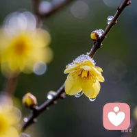 让自己的内心强大起来
     当一个人内心强大的时候，他通常能够更好地应对生活中的挑战和压力，不易被外界因素所动摇。他会有坚定的信念和决心，能够保持冷静和理智，从而更好地解决问题。同时，内心强大的人也更容易实现自我成长和进步。
      ​当一个人内心强大时，最明显的表现是自信和从容。他们对自己有着清晰的认识和坚定的信念，不轻易受到外界负面信息的干扰，能够冷静地应对各种情况，展现出一种稳定和泰然自若的态度。配图