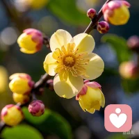 让自己的内心强大起来
     当一个人内心强大的时候，他通常能够更好地应对生活中的挑战和压力，不易被外界因素所动摇。他会有坚定的信念和决心，能够保持冷静和理智，从而更好地解决问题。同时，内心强大的人也更容易实现自我成长和进步。
      ​当一个人内心强大时，最明显的表现是自信和从容。他们对自己有着清晰的认识和坚定的信念，不轻易受到外界负面信息的干扰，能够冷静地应对各种情况，展现出一种稳定和泰然自若的态度。配图