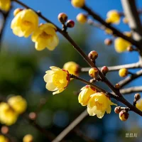 我們與目標之間的距離有多近，往往在于行動力有多強大。目標近在眼前，可一直猶豫懈怠，也只能停留在原地；路途再遙遠，現在就開始往前走，自會慢慢靠近。

生活不會因為你想象過什么就給你回饋，只會因為你做過什么才給你相應的獎勵。只有行動起來，才有機會擁抱自己想要的生活。配圖