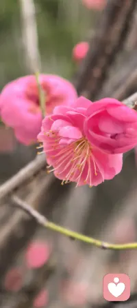 今日话题‖轻盈本身是一种力量
你最近有没有觉得特别累？那种累，不是睡一觉就能解决的。
心里好像总背着太多东西：还没做完的事、说不出口的情绪、别人的看法、自己的较劲…它们悄悄消耗着你的心力。
其实，真正的力量不是来自“坚持扛下去”，而是来自“温柔地放下”。放下不是放弃，而是看清什么真正属于自己，什么只是路过。当你主动清理了内心的缓存，那些被占用的勇气、灵感、行动力，才会重新回到你身上。
试试看，今天放下一点。哪怕只是一个执念，一句“我必须完美”。你会感受到，轻盈本身就是一种力量。