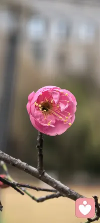今日话题‖轻盈本身是一种力量
你最近有没有觉得特别累？那种累，不是睡一觉就能解决的。
心里好像总背着太多东西：还没做完的事、说不出口的情绪、别人的看法、自己的较劲…它们悄悄消耗着你的心力。
其实，真正的力量不是来自“坚持扛下去”，而是来自“温柔地放下”。放下不是放弃，而是看清什么真正属于自己，什么只是路过。当你主动清理了内心的缓存，那些被占用的勇气、灵感、行动力，才会重新回到你身上。
试试看，今天放下一点。哪怕只是一个执念，一句“我必须完美”。你会感受到，轻盈本身就是一种力量。