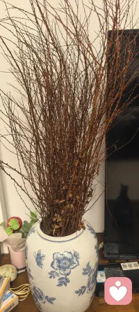 今日话题‖心有力量，何惧路长
什么都清零，就攒满心的信念；什么都难控，就稳住自带的情绪。《秘密》里说心念是磁场，你向阳，好运自会奔赴，你平和，万事皆能归序。日子是慢慢来的通透，不是突如其来的救赎，心有力量，何惧路长。配图