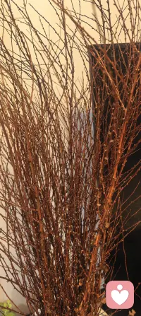 💬 以前总在关系里“要水喝”，
渴望着对方时刻端来一杯温度的证明。
要不到，就委屈；要不够，就心慌。

后来才发现，
原来我自己就可以是一个热水瓶。
冷了，为自己添热水；
累了，给自己拧上盖，静静保温。

不是不再需要另一份温暖，
而是当我先把自己暖透，
拥抱就不再是雪中求炭，
而是阳春里的微风碰上了另一阵微风。

🌱 爱从不是找到谁来完成自己，
而是带着完整的自己，去遇见另一个完整的人。