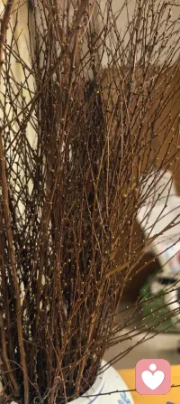 今日话题‖爱，是一场由内而外的革命

爱，不是一场始于外部、用以证明自己价值的乞讨。而是一场始于内部、让自己变得完整充盈的革命。当你成为爱的源头，你自然会成为爱的磁石。

一个生动的比喻：

· 不爱自己的人，像一个空杯子，总是伸向别人：“请给我倒满水（爱）。” 别人偶尔倒一点，也很快漏光。
· 爱自己的人，先把自己这个杯子装满。当别人靠近时，他可以从自己满溢的杯子里，轻松地分享给对方。这种分享的富足感，又会吸引更多美好的人前来。

如何实践“爱自己”？

1. 停止自我攻击： 像对待最好的朋友一样，用温柔的语言与自己对话。
2. 尊重自己的感受与需求： 累了就休息，想要就说，不喜欢就拒绝。
3. 投资自己： 花时间、精力和金钱在自己的健康、成长和愉悦上。
4. 设立边界： 保护自己的时间、能量和情绪，不让他人随意消耗。

总结而言：

这句话是对所有在爱中迷茫之人的终极指引。它庄严地宣告：

爱的第一课，永远是爱自己。这不是自私，而是所有美好关系的基石。当你开始无条件地爱自己、滋养自己时，你便为整个世界准备了一个最值得被爱、也最有能力去爱的你。

真正的爱，从不始于“求”，而始于“有”。你先有了对自己的爱，然后，一切美好都会随之而来。