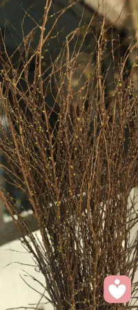 今日话题‖不知道自己不知道
人最大的成长卡点，不是“不知道”，而是“不知道自己不知道”。
——我们困在自己有限的认知里，却以为这就是世界的全部。
《道德经》里讲：“知不知，上矣；不知知，病也。”
意思是：能意识到自己无知，是最高明的；明明无知却自以为知，才是真正的“病”。
原来，我们那些纠结、拧巴和不适，
其实是生命在悄悄提醒：
“你旧的认识框架不够用了，该升级了。”
——它不是惩罚，而是成长的邀请函。
所以，如果你也正感到“不舒服”，
别急着抱怨环境或否定自己。
不妨停下来问问：
“我是不是正在某个‘不知道’里，却‘以为知道’？”
主动走向“知道自己不知道”的阶段，
虽然会伴随短暂的不安，
但穿过它，便是更开阔的人生。
毕竟，真正的清醒，
始于承认“我原来并不懂”。
而改变，往往就从这份坦诚开始。