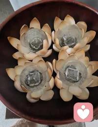 今日话题‖接纳
🌿 很多时候，我们以为要接纳的是对方“做了什么”，
其实真正要接纳的，是行为背后藏着的情绪与未被看见的原因。
愤怒里可能是委屈，沉默里也许是害怕，挑剔背后或许是渴望被看见。
当我们不再盯着“行为”本身较劲，
而是试着去触碰那层情绪的温度，
问题本身，反而会慢慢消融。
[玫瑰]看见即疗愈，接纳即和解。
愿我们都能在关系里，多一份温柔的看见，少一份无谓的对抗。配图