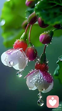 如“隧道盡頭一定有光，即便你此刻看不到出口。也許再走十步，光就在那里等你配圖