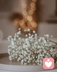 生命自己会寻找出路。
因为只有在无际的弯路中，才会有更多的机会不停地靠近世界的种种真实之处，才会有强大生活的强大根基。

#梓潼心理赋能配图