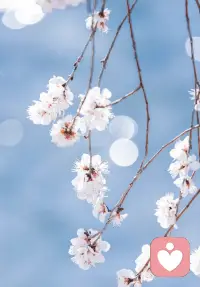 幸福快乐是每个人都可以拥有的
只要我们有足够的意愿疗愈

只要你做的是对的事
结果一定就是好的

这个世界之所以是安全的
是因为它是非常平衡的

这是一个“种瓜得瓜，种豆得豆”的世界
因果有道配图