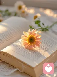 每個人的心事都需要一個出口
最終所有能說出來的事
都變成了故事
人也就有了繼續往下走的勇氣配圖