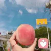 此刻就像心情就像桃子??一樣清爽，希望你們也一樣～配圖