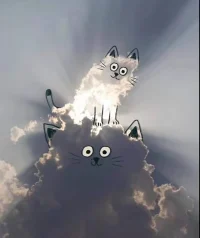 不要纠结，做事之前考虑周全！