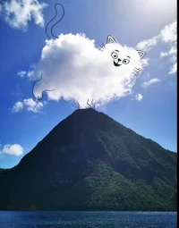 不要纠结，做事之前考虑周全！