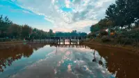 平靜配圖