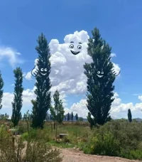 微笑??配圖