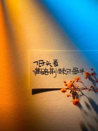 好喜欢的图片！