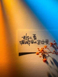 好喜欢的图片！