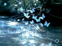 關(guān)注于當(dāng)下！配圖