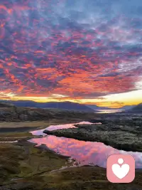 心態(tài)決定你的狀態(tài)
上班很累，總不能不上吧，掙錢很苦，總不能不賺吧。年記大了，就不要任性，你可以不做你不喜歡的事，但你要做你應(yīng)該做的事…
巷子里的貓很自由，但卻沒有歸宿；圍墻里的狗有歸宿，卻終生都得低頭。
人生這道選擇題怎么選都會有遺憾。世界上沒有一份工作不辛苦，也沒有一處人事不復(fù)雜，無論你當(dāng)下正在經(jīng)歷什么，都要調(diào)整心態(tài)繼續(xù)前行，你的心態(tài)是你最好的風(fēng)水。配圖