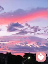 心態(tài)決定你的狀態(tài)
上班很累，總不能不上吧，掙錢很苦，總不能不賺吧。年記大了，就不要任性，你可以不做你不喜歡的事，但你要做你應(yīng)該做的事…
巷子里的貓很自由，但卻沒有歸宿；圍墻里的狗有歸宿，卻終生都得低頭。
人生這道選擇題怎么選都會有遺憾。世界上沒有一份工作不辛苦，也沒有一處人事不復(fù)雜，無論你當(dāng)下正在經(jīng)歷什么，都要調(diào)整心態(tài)繼續(xù)前行，你的心態(tài)是你最好的風(fēng)水。配圖