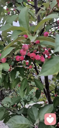 楊絳說：女人一生最硬的底牌，不是聰明，也不是外貌，更不是財富。

而是下面這三種技能：

堅持閱讀，提升認知
管理情緒，強大內心
學習技能，拓寬圈子配圖