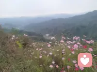 生氣是因為預期太高。當別人達不到你的預期時，你就會因為失落而氣憤！配圖