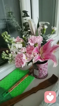 被重新養育一次配圖