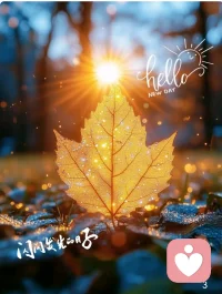 陽光依舊，生活繼續！配圖