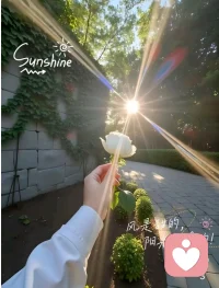 陽光依舊，生活繼續！配圖