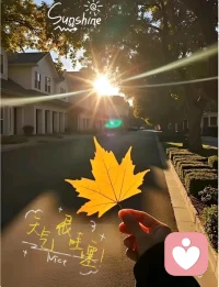 陽光依舊，生活繼續！配圖