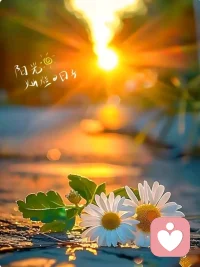 陽光依舊，生活繼續！配圖