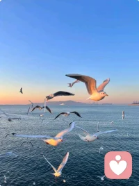 沉浸在美好的风景带给自己的愉悦感觉里！