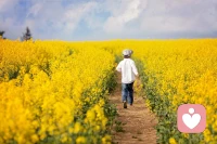 每天正向催眠自己，自己就会成为你期待的那个样子！配图
