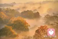 你的心态，就是你生活的滤镜。心态积极的人，并非总是一帆风顺，而是选择保持乐观。他们就像向日葵，本能地面向阳光，这种姿态本身，就会吸引更多美好事物靠近。配图